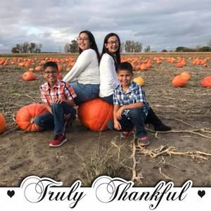 Meet your Posher, Katrina